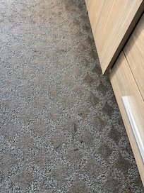 Stained room carpeting.