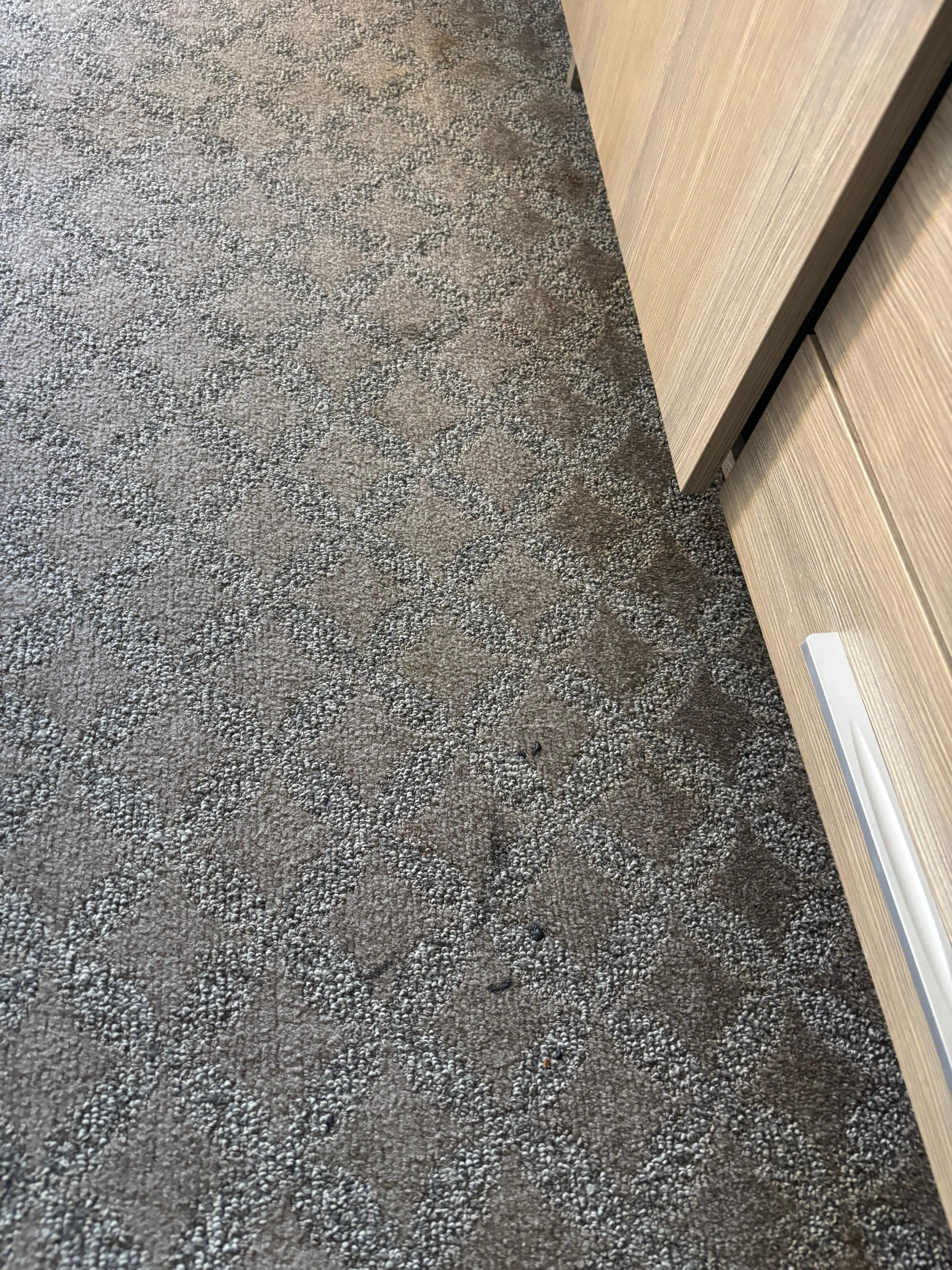 Stained room carpeting. 