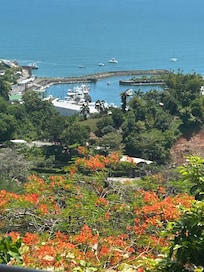 View from the front deck