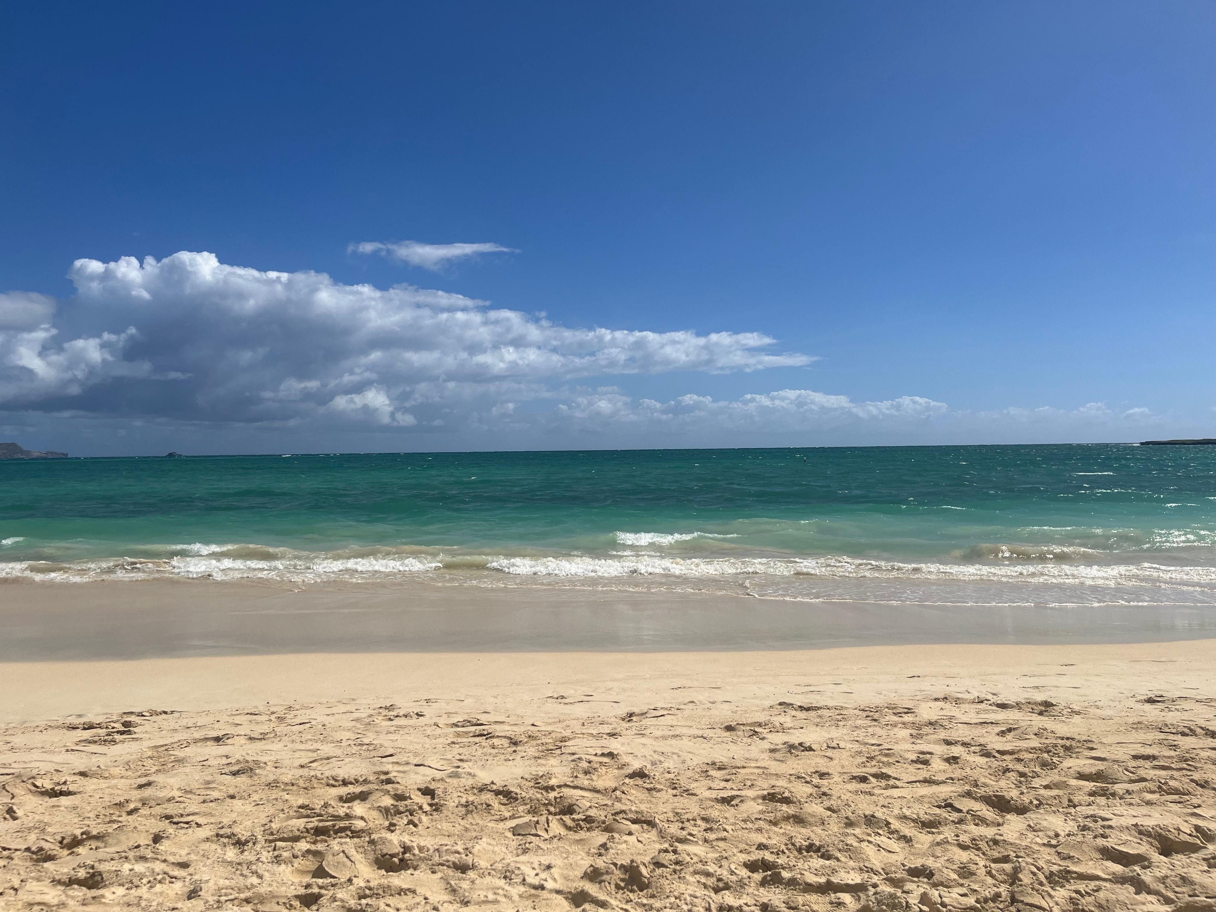 It's this close to the beach! 