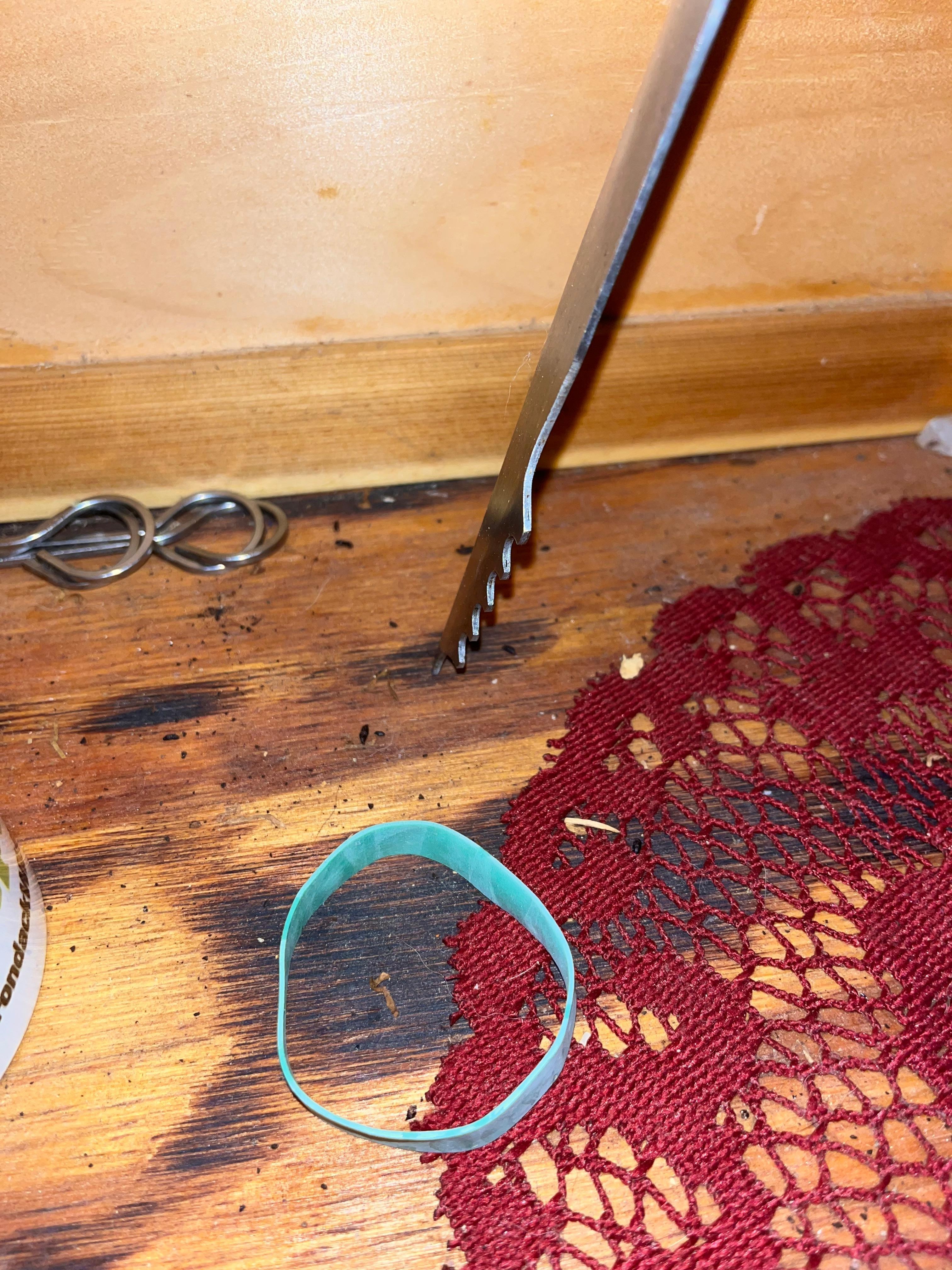 Mouse shit everywhere