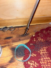 Mouse shit everywhere