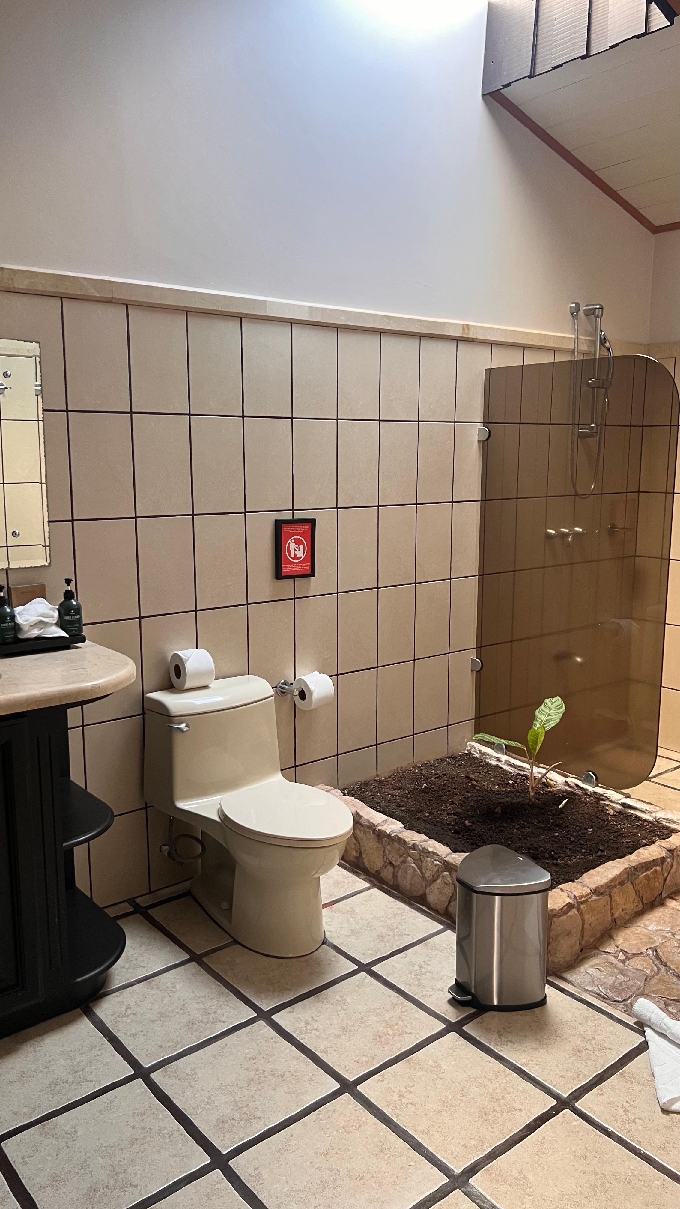 The bathroom has beautiful lighting and a little plant 