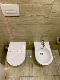 Toilet and bidet