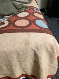 Just some of the stains on the bedspread.