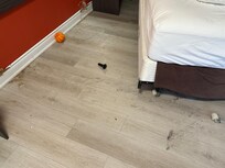 Under the bed
