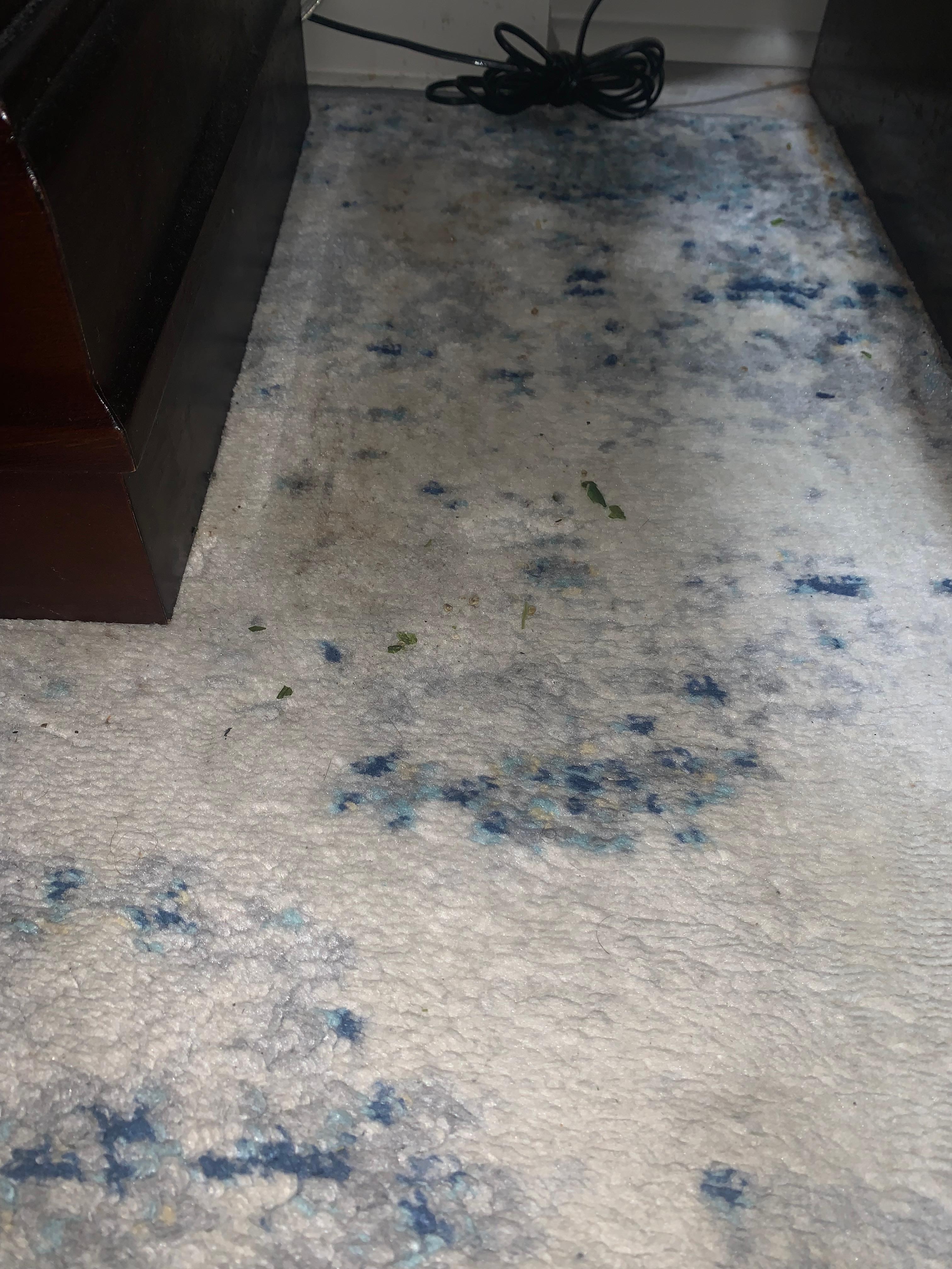 Food on floor when we got there 