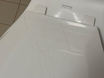 Pile of hair on toilet