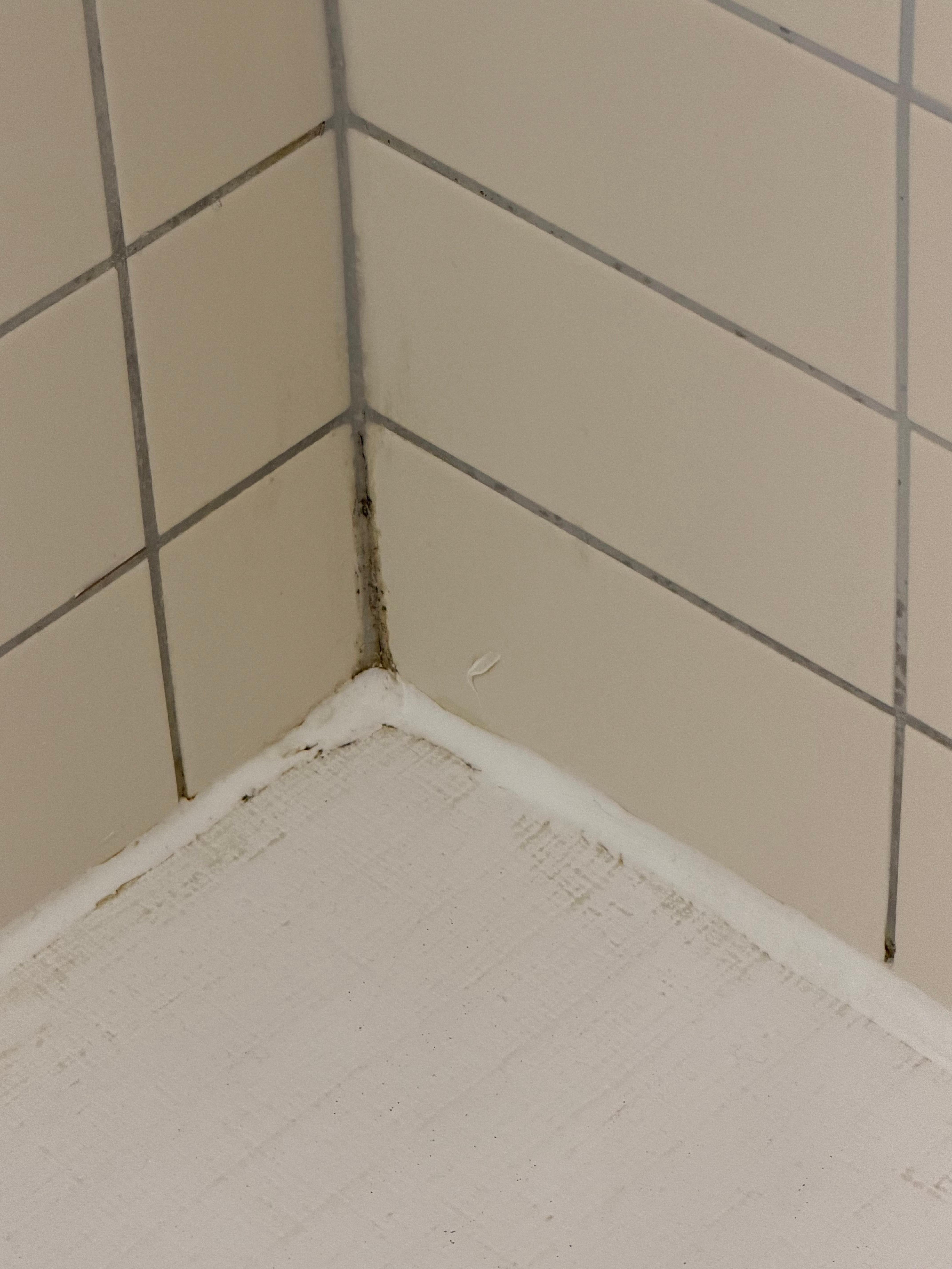 Black mold in shower