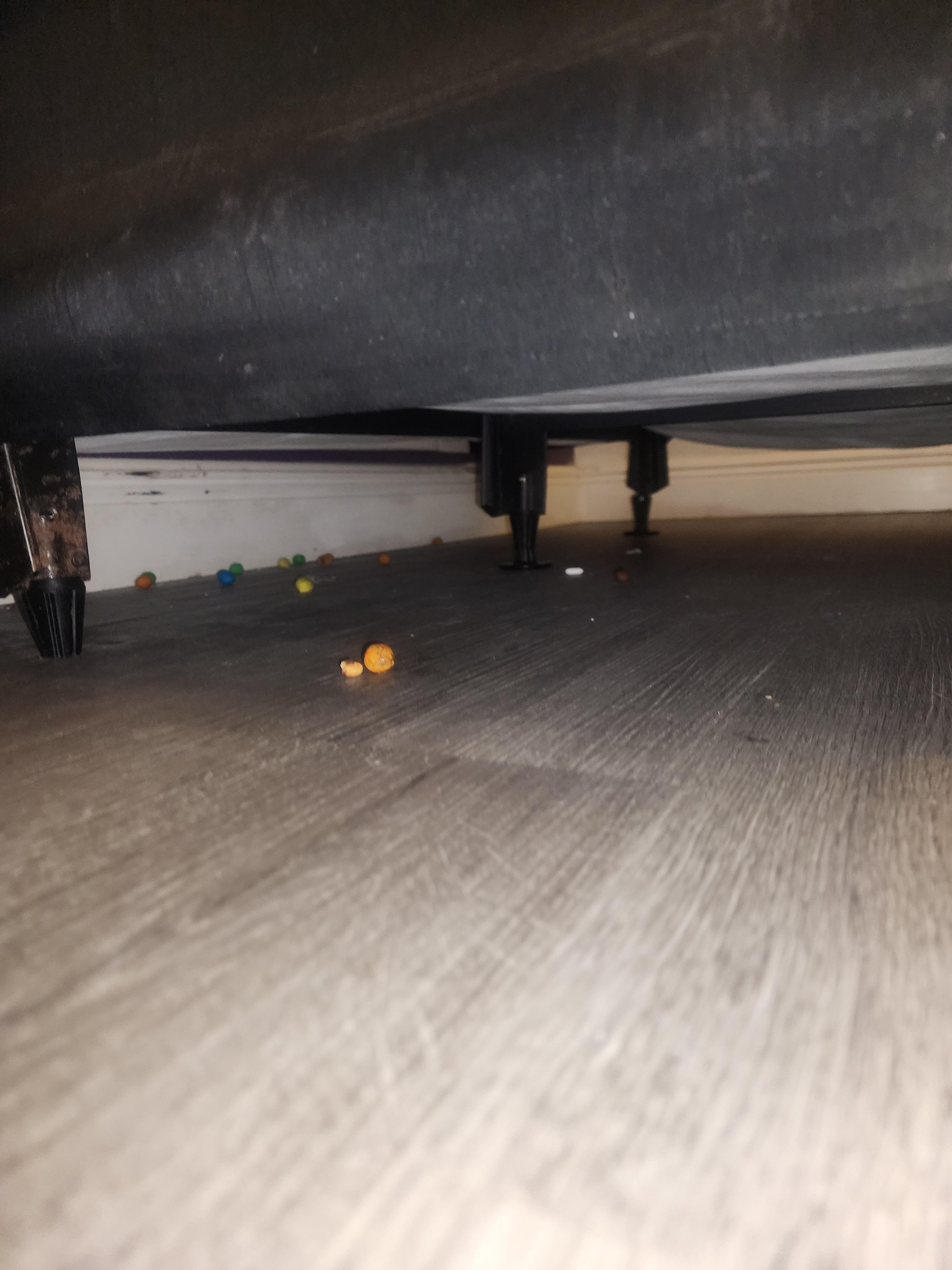 Food under bed