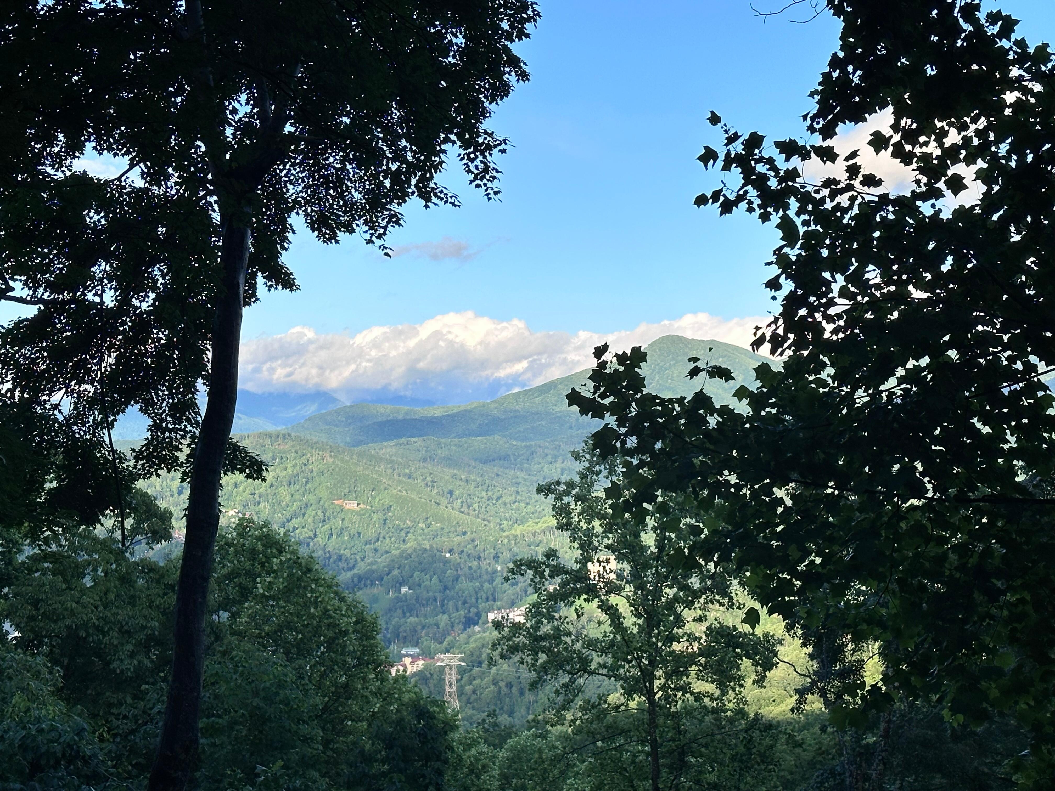 View from the balcony