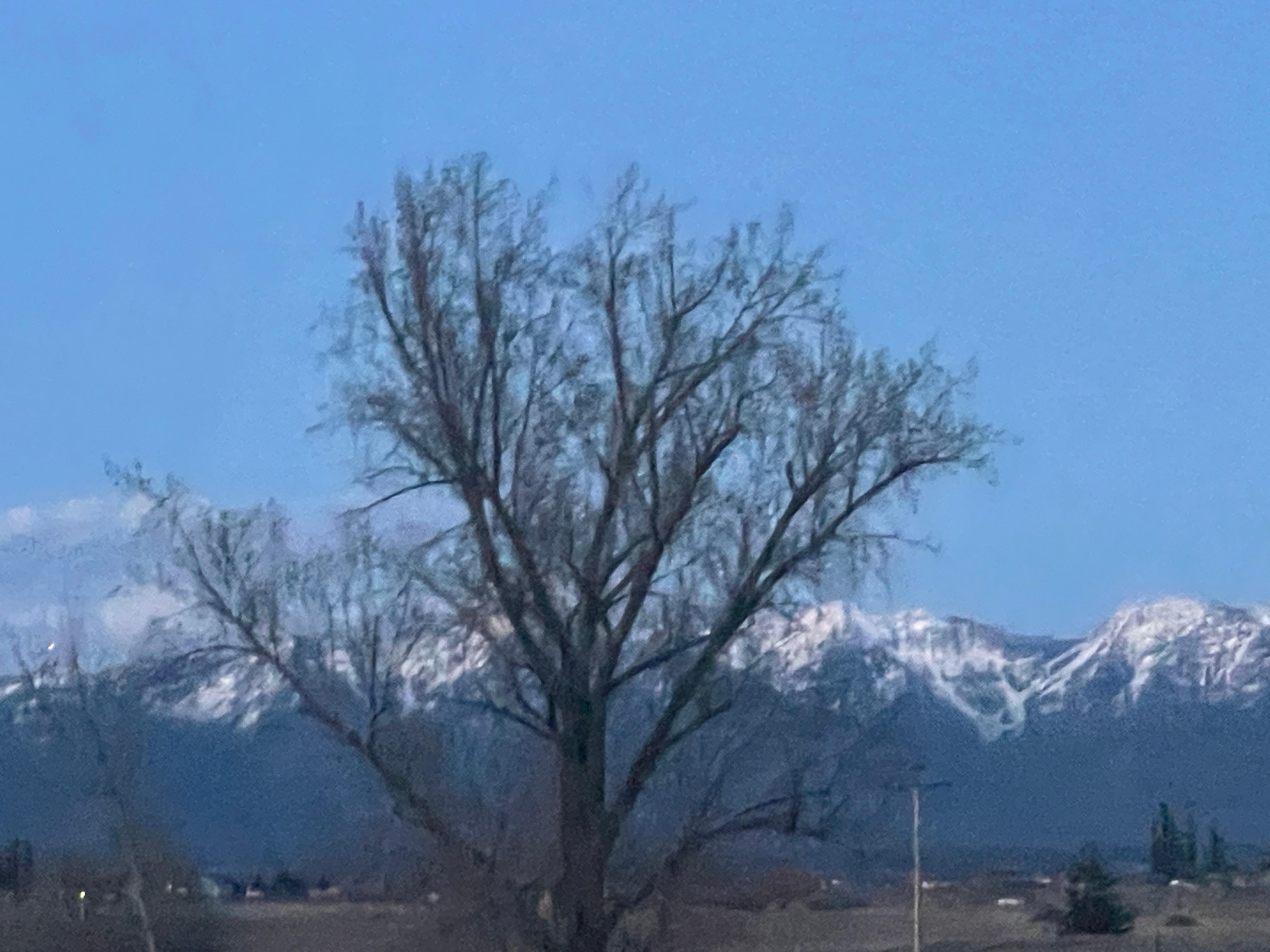 Loved waking up to this view every morning! 