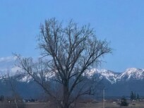 Loved waking up to this view every morning!