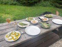 Backyard dining