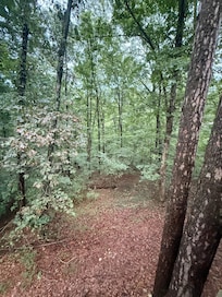 View from back patio