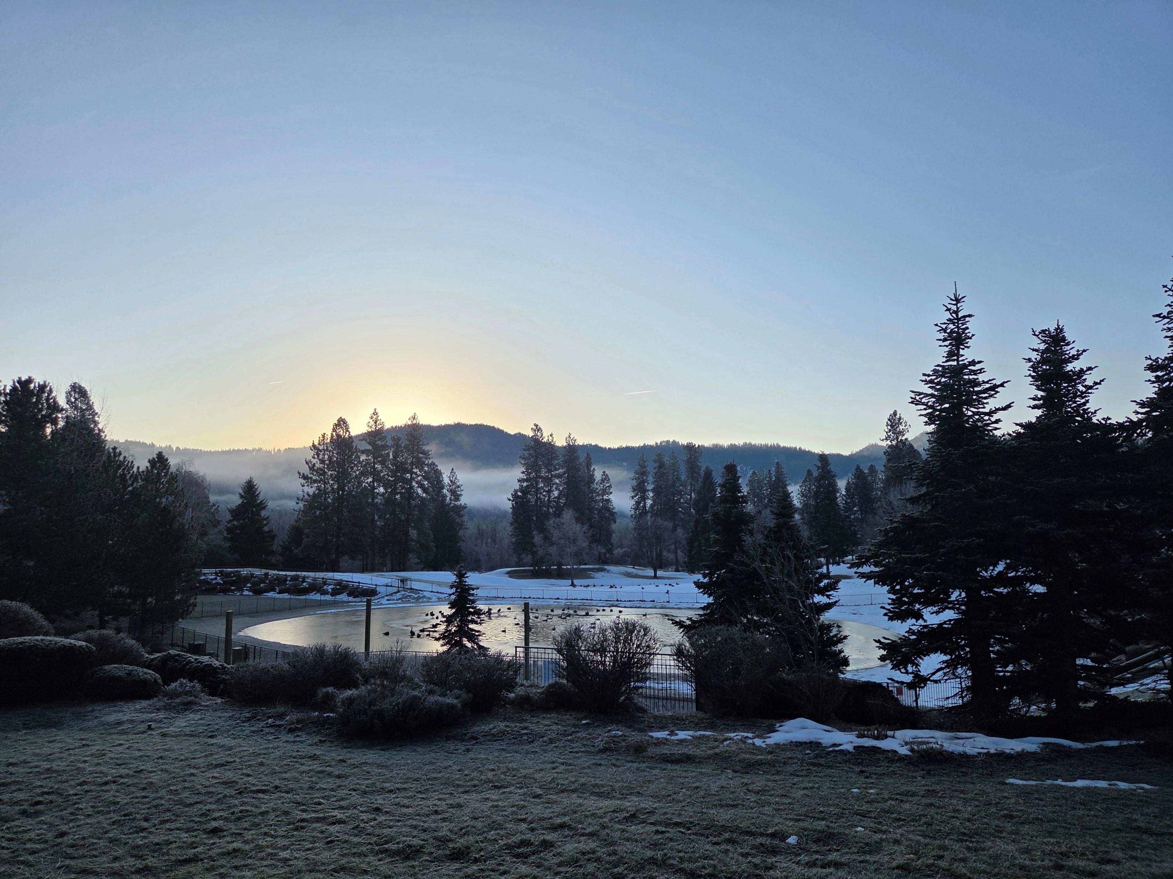 Morning view from the patio. 