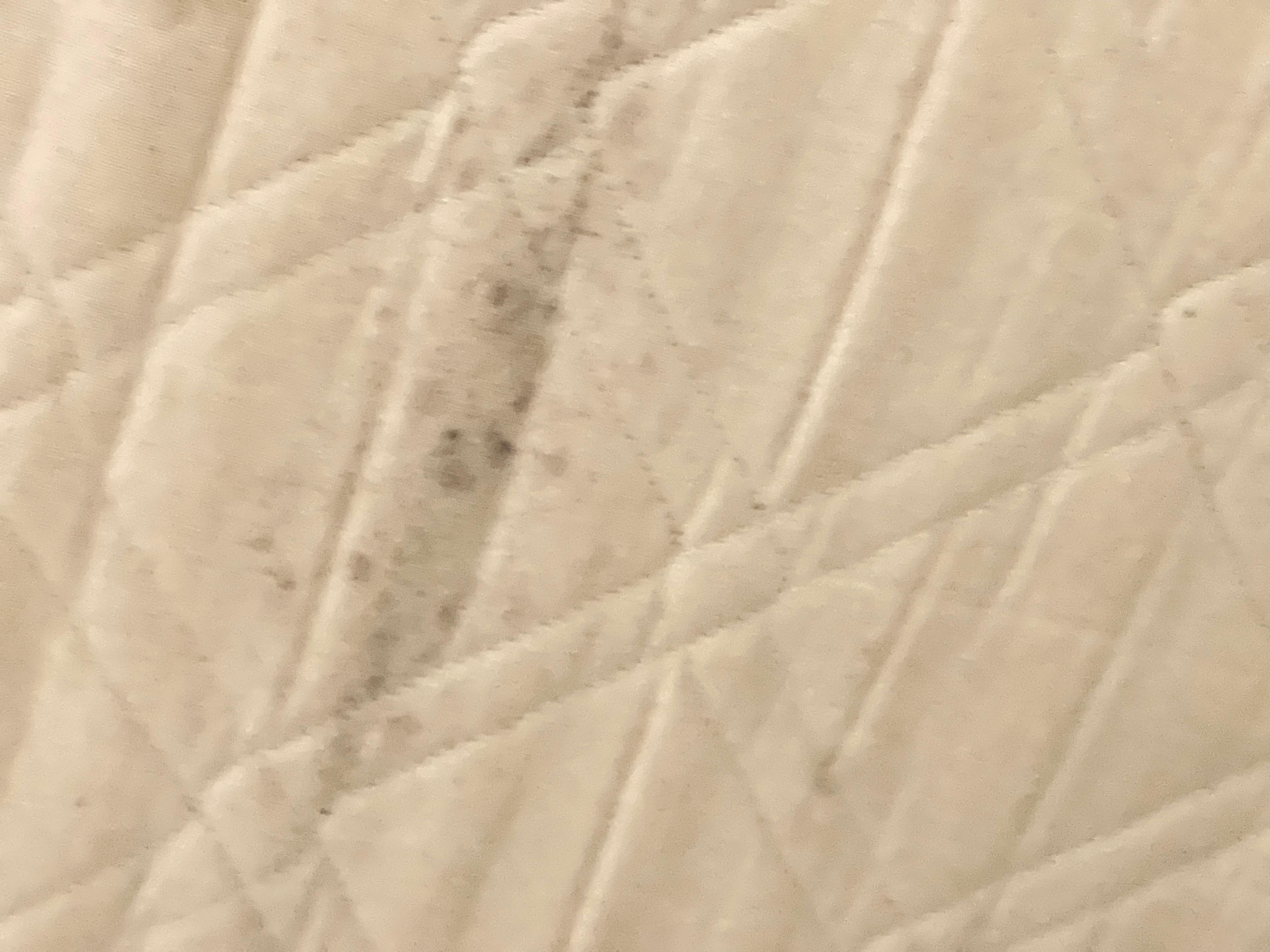 Mold under the mattress 