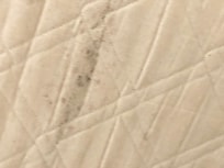 Mold under the mattress