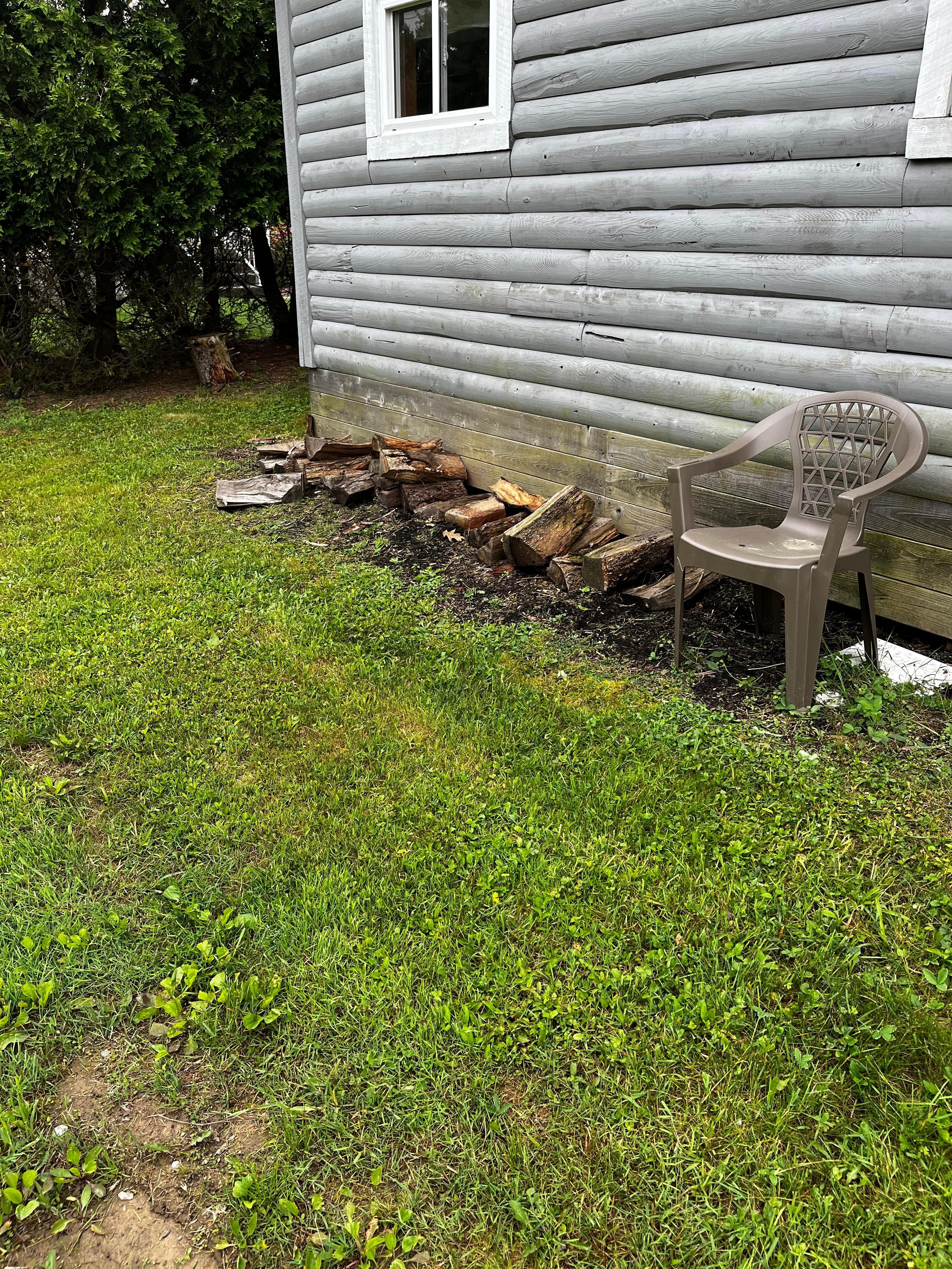 Our free firewood 
