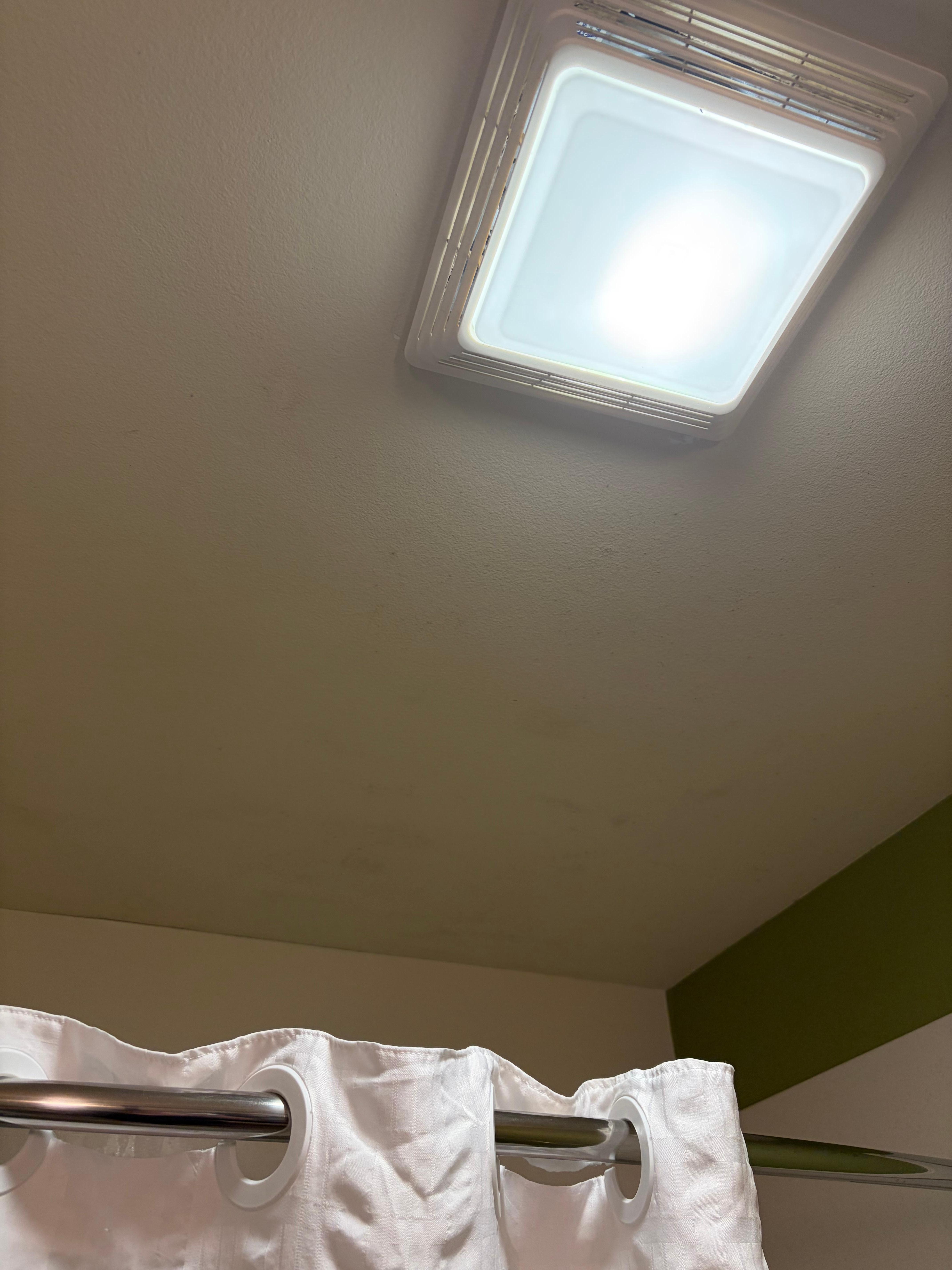 A photo of the mold on the ceiling of the bathroom. 