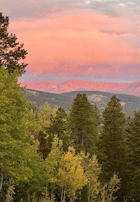 A view from the road right by their house.