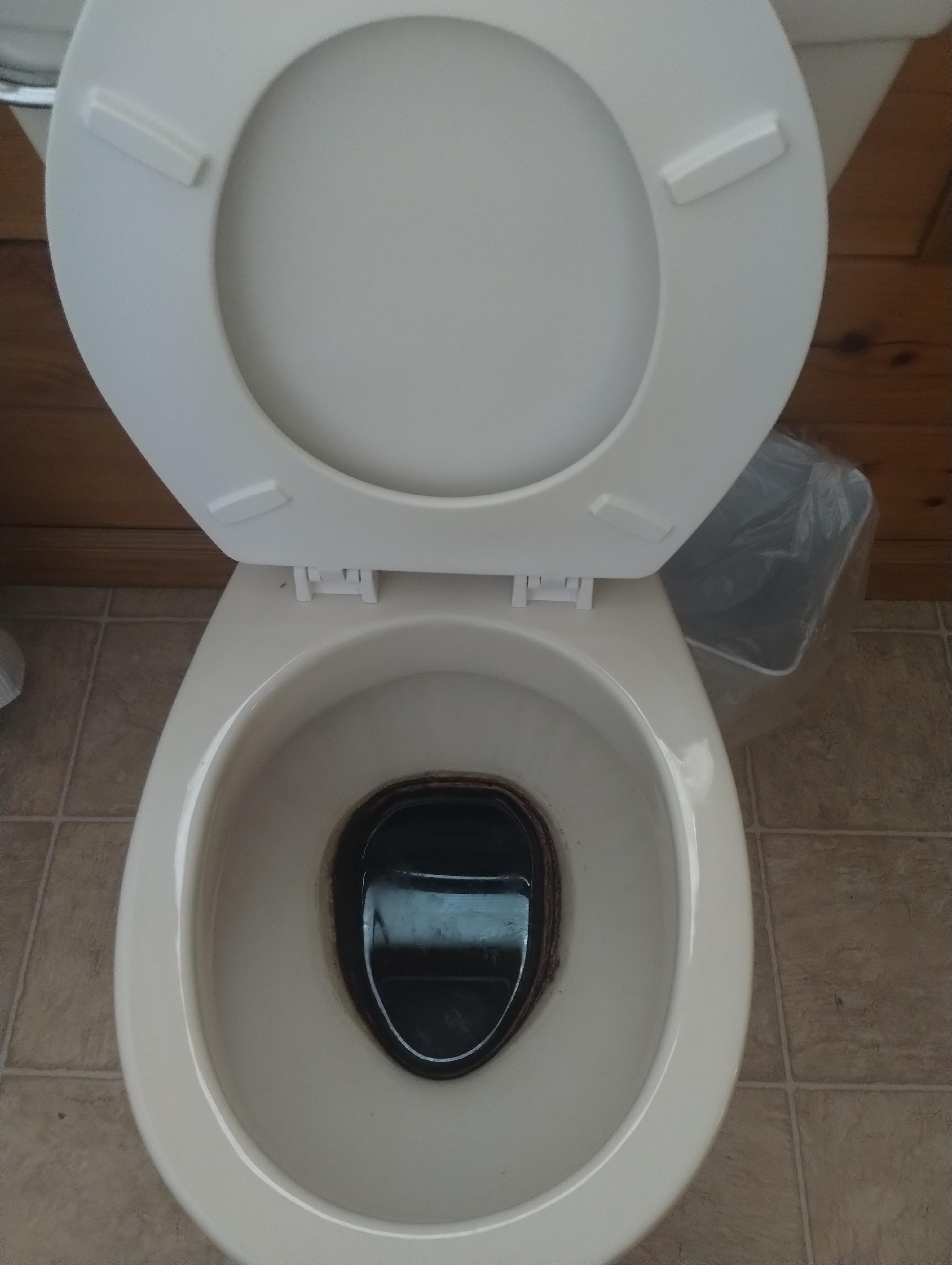 2 commodes had filthy water in the bowl 