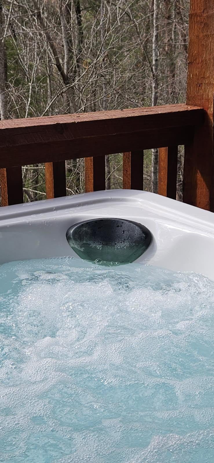 Green algae headrest