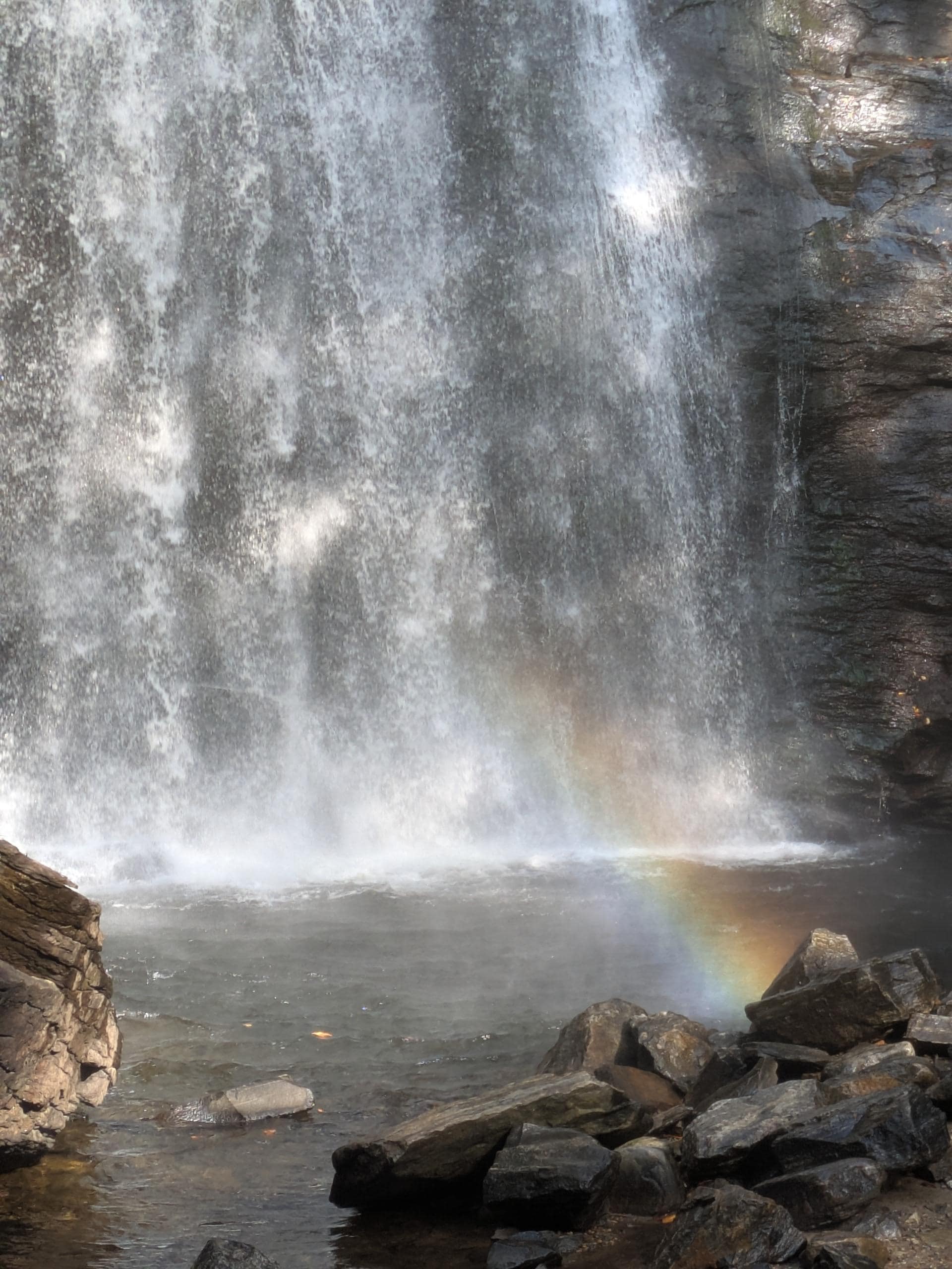 Our hiking group enjoyed Looking Glass Falls, DuPont Forest and Gorges State Park