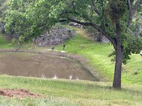 Exploring the pond. Can you spot Smokey?