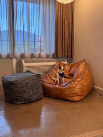 Puppy getting settled in!