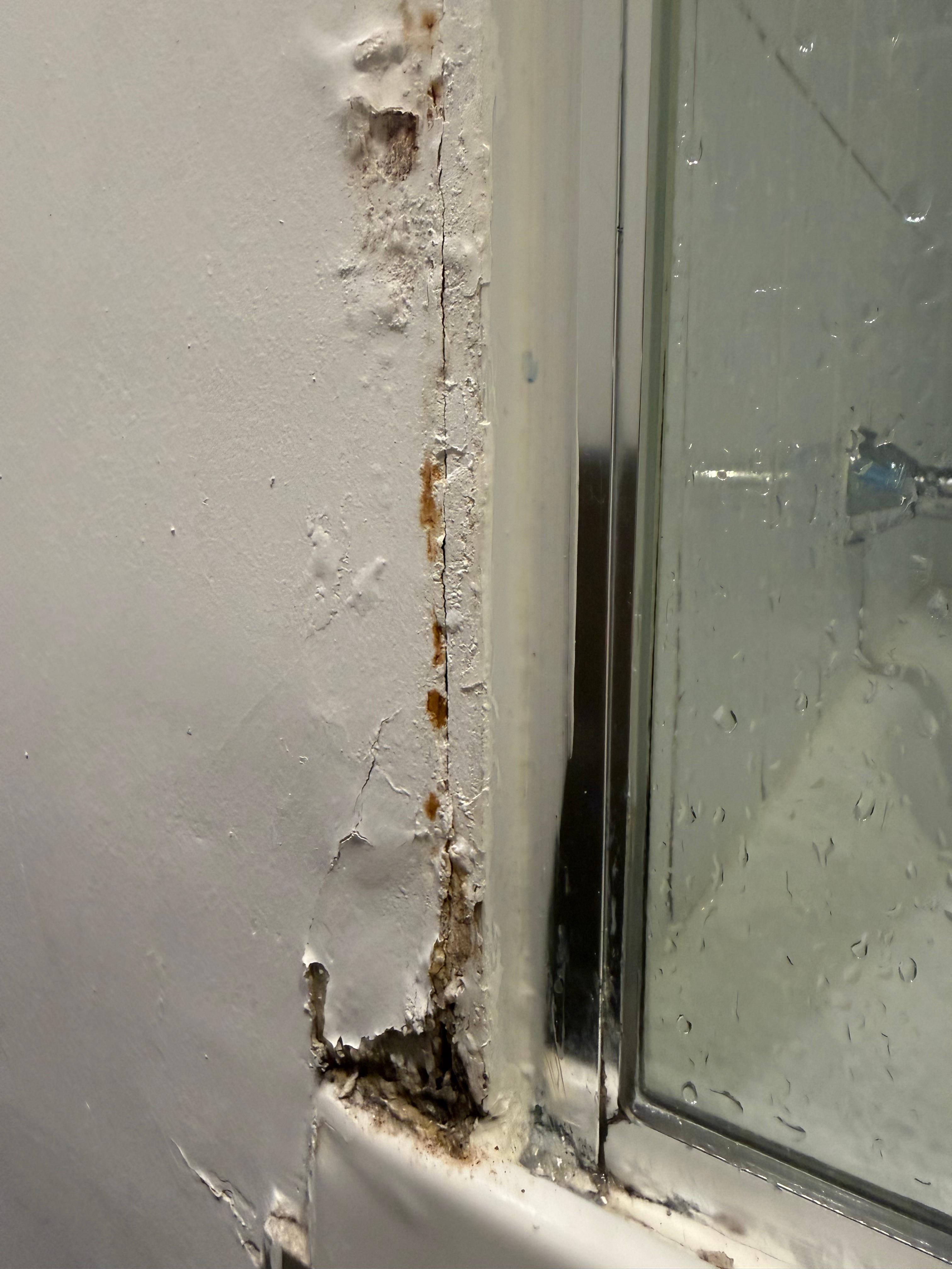 Bathroom mould 