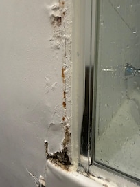Bathroom mould