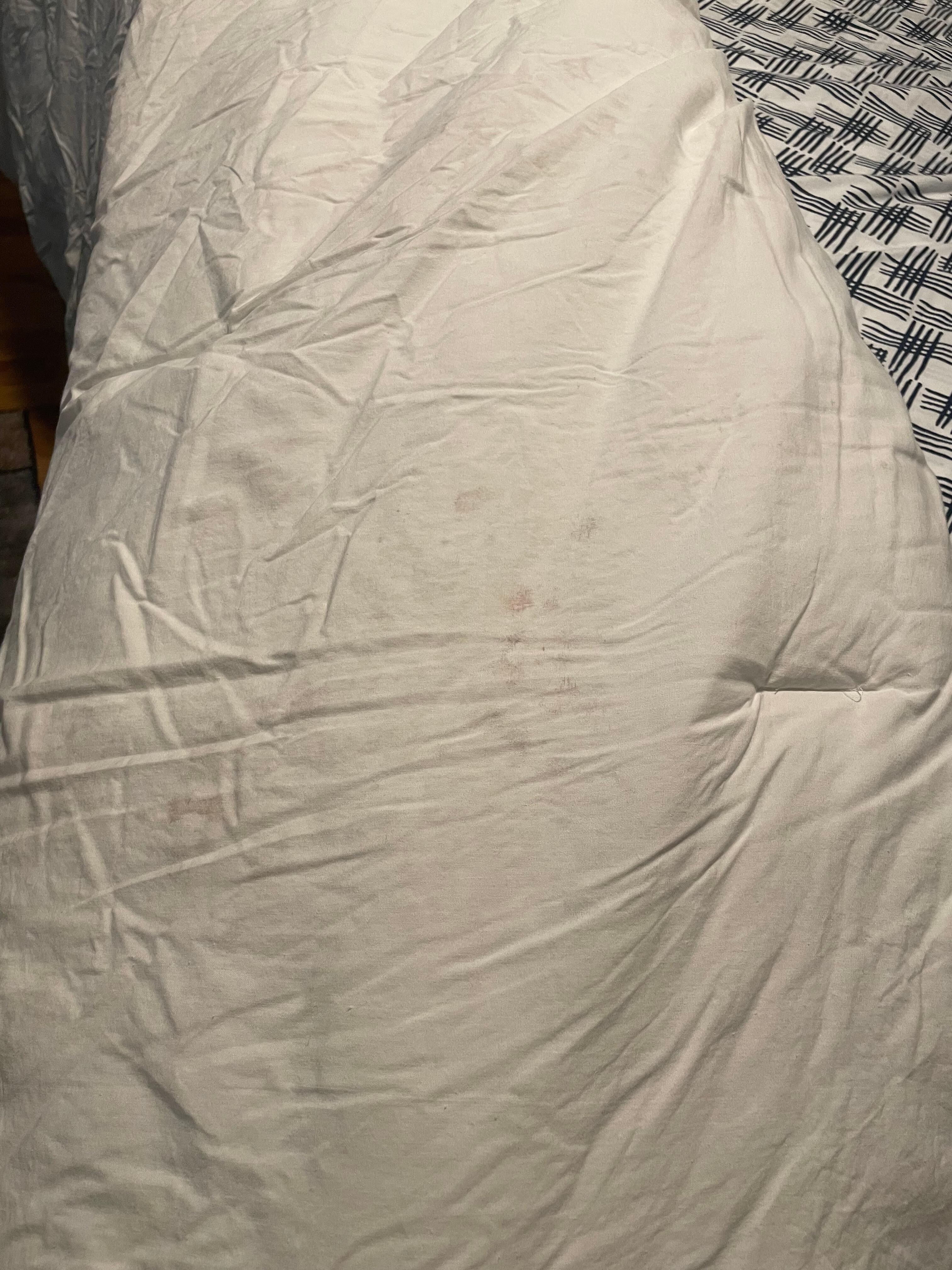 Another section of comforter in master