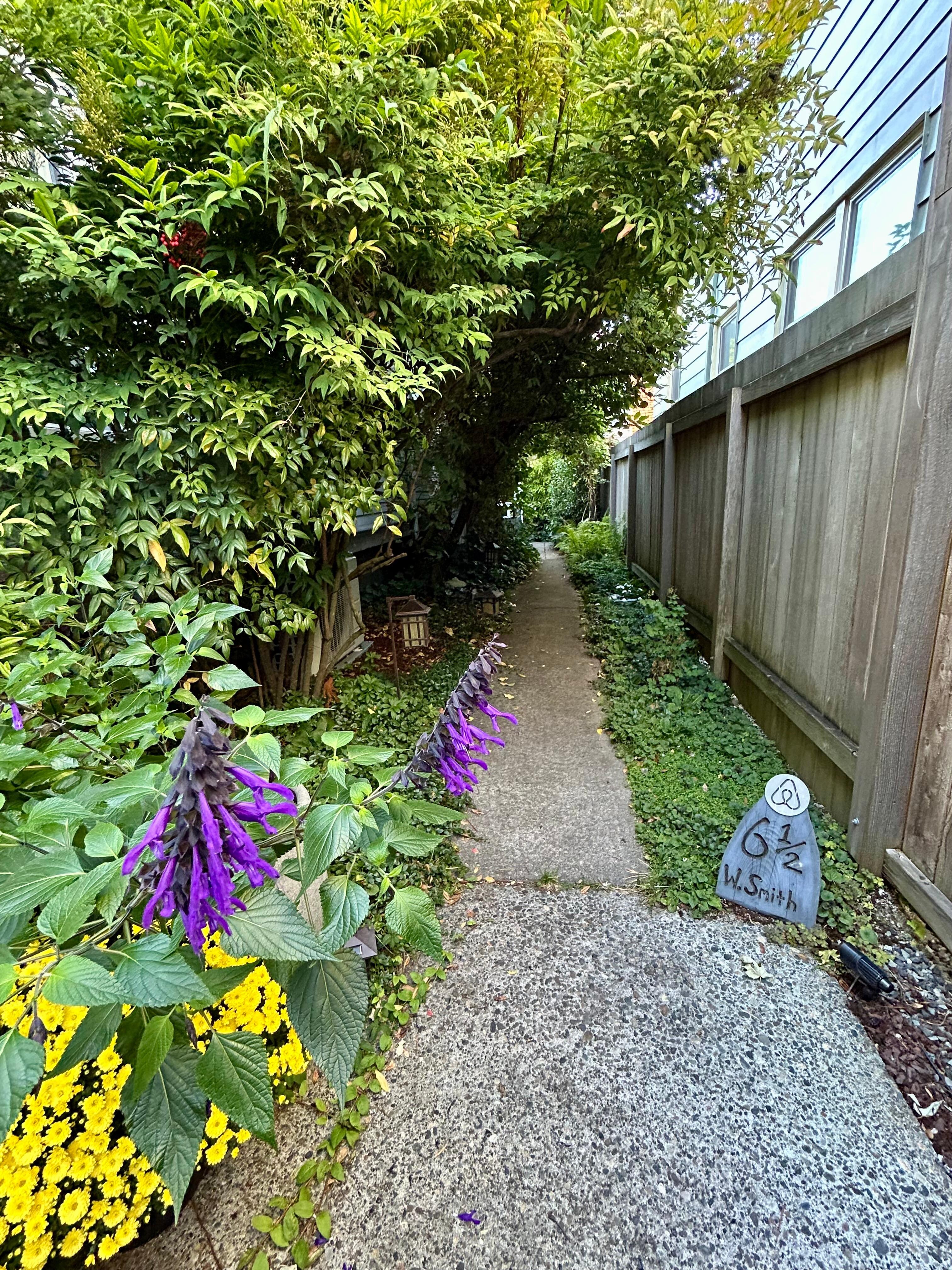 The laneway from the street to the stairs of the house