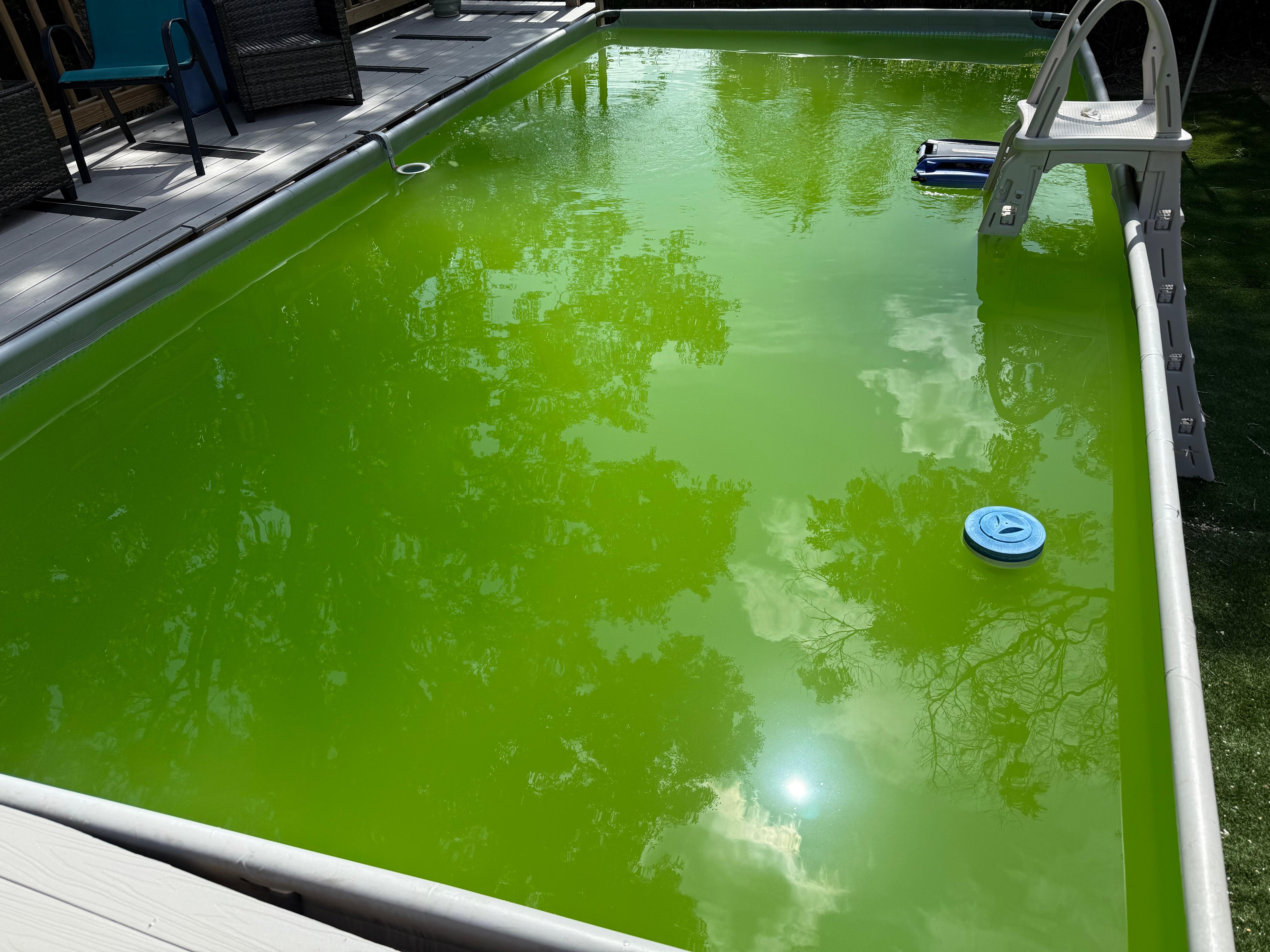 Pool at our arrival. The owner kept saying she was sorry, but never offered to compensate us. 