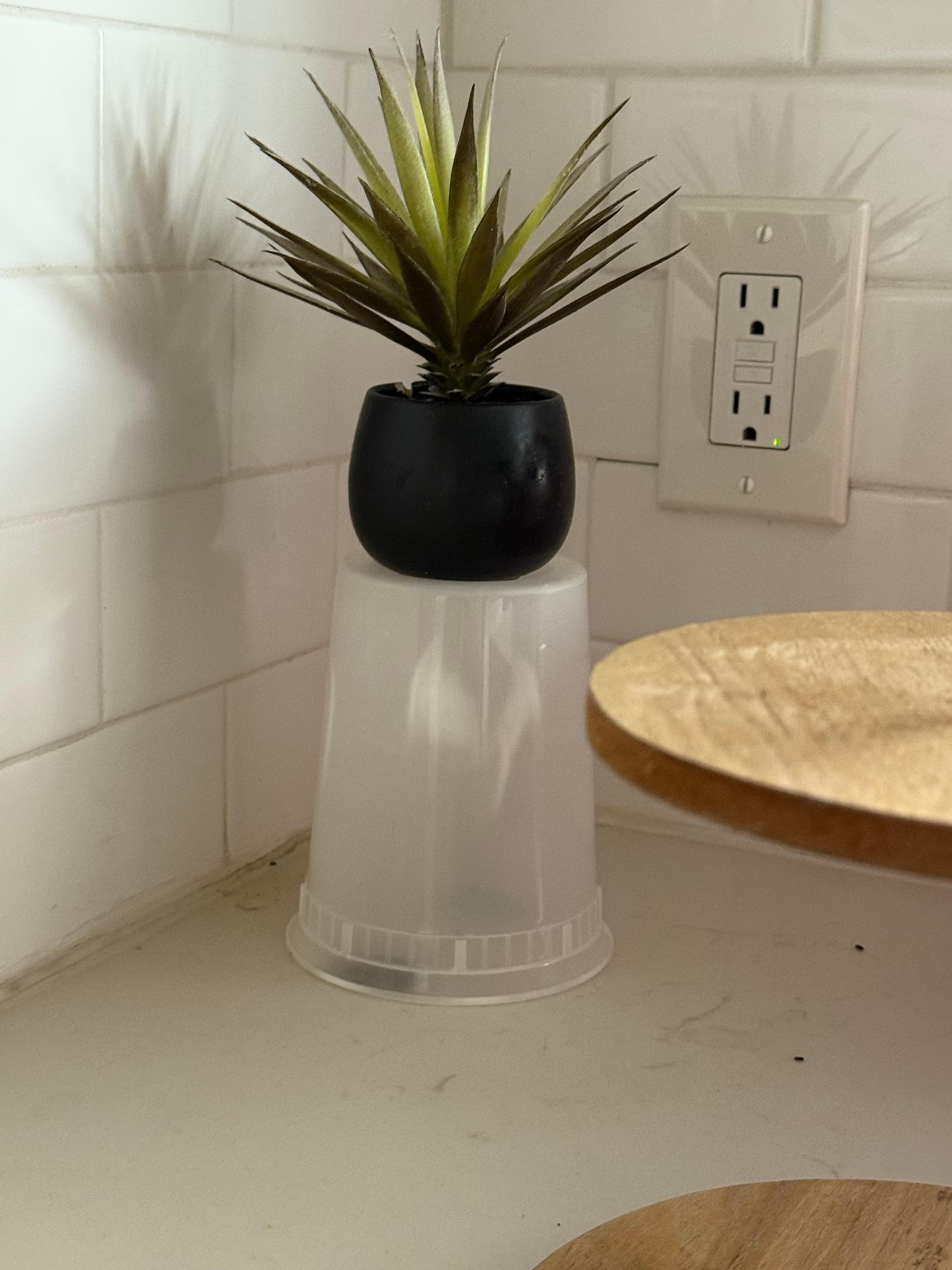 Ended up catching/killing it on the last day