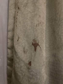 Looks like blood stain
