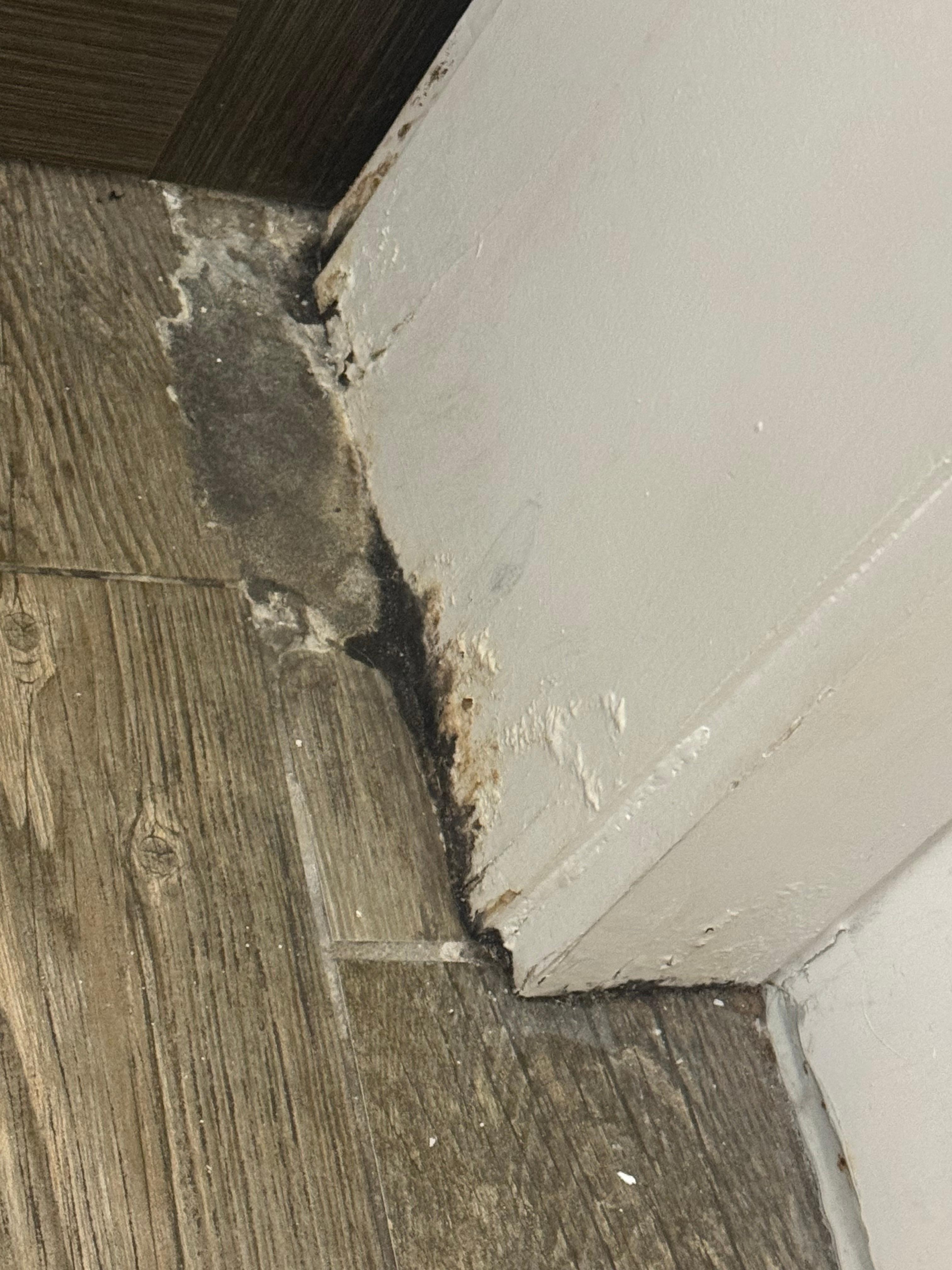 Water damage poorly repaired 
