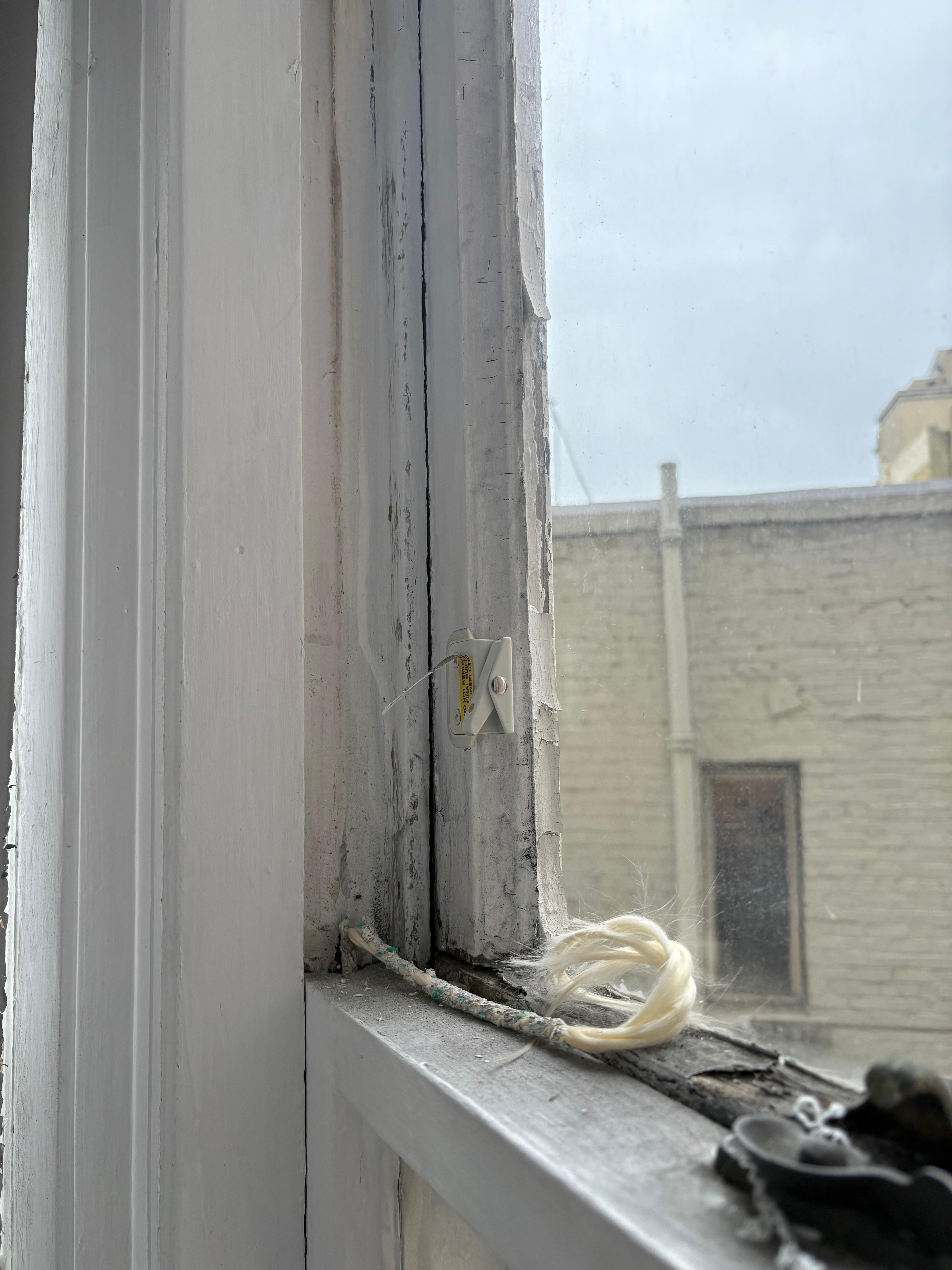 États des fenêtres donnant sur cours