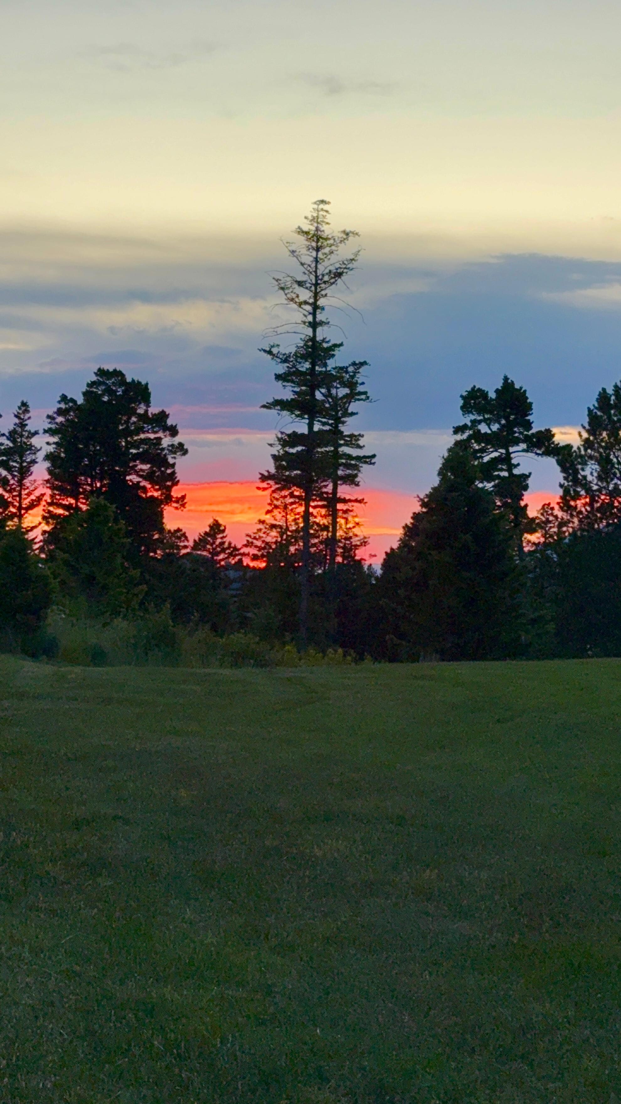 Sunset views