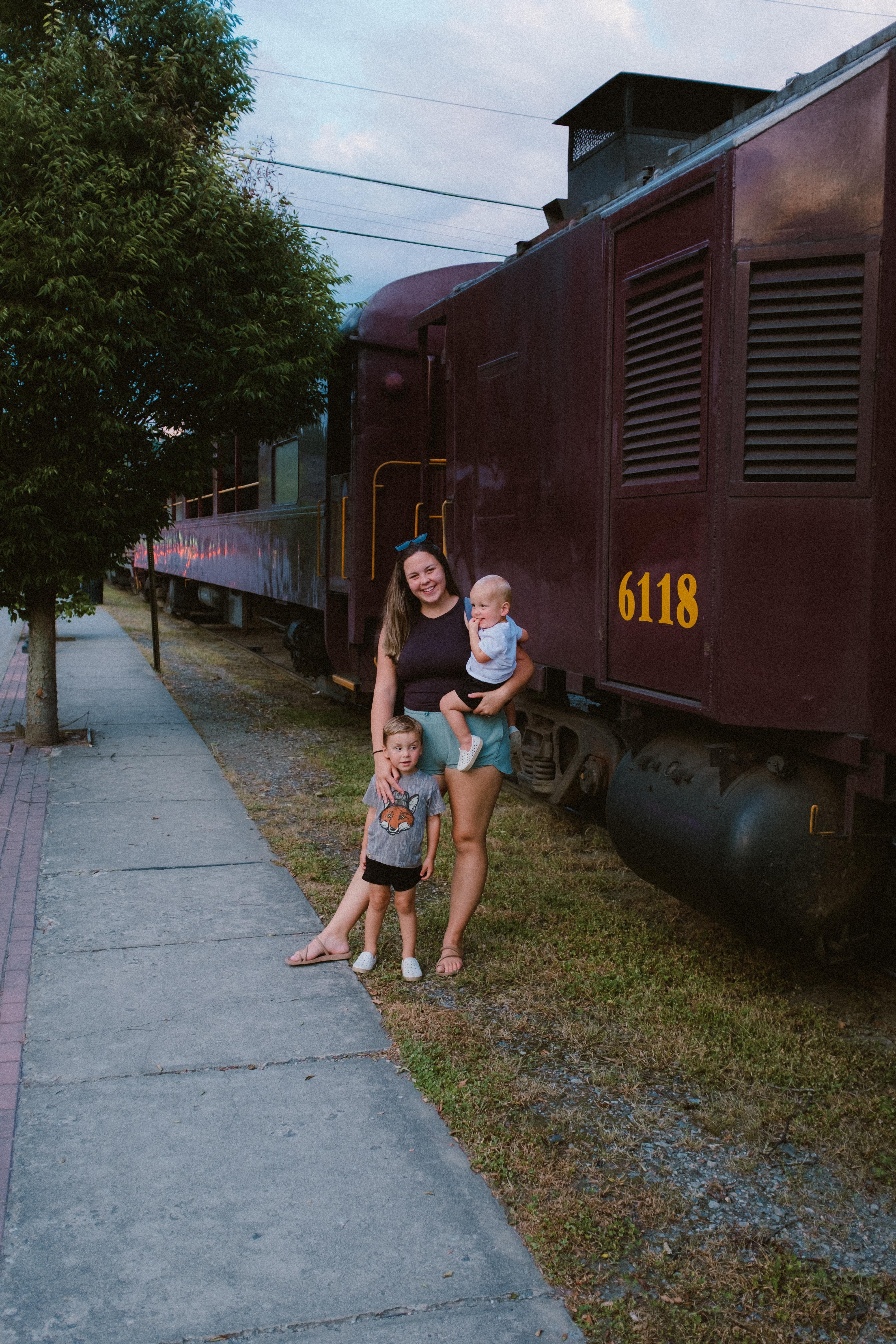 You have to see the trains when in Bryson City. 