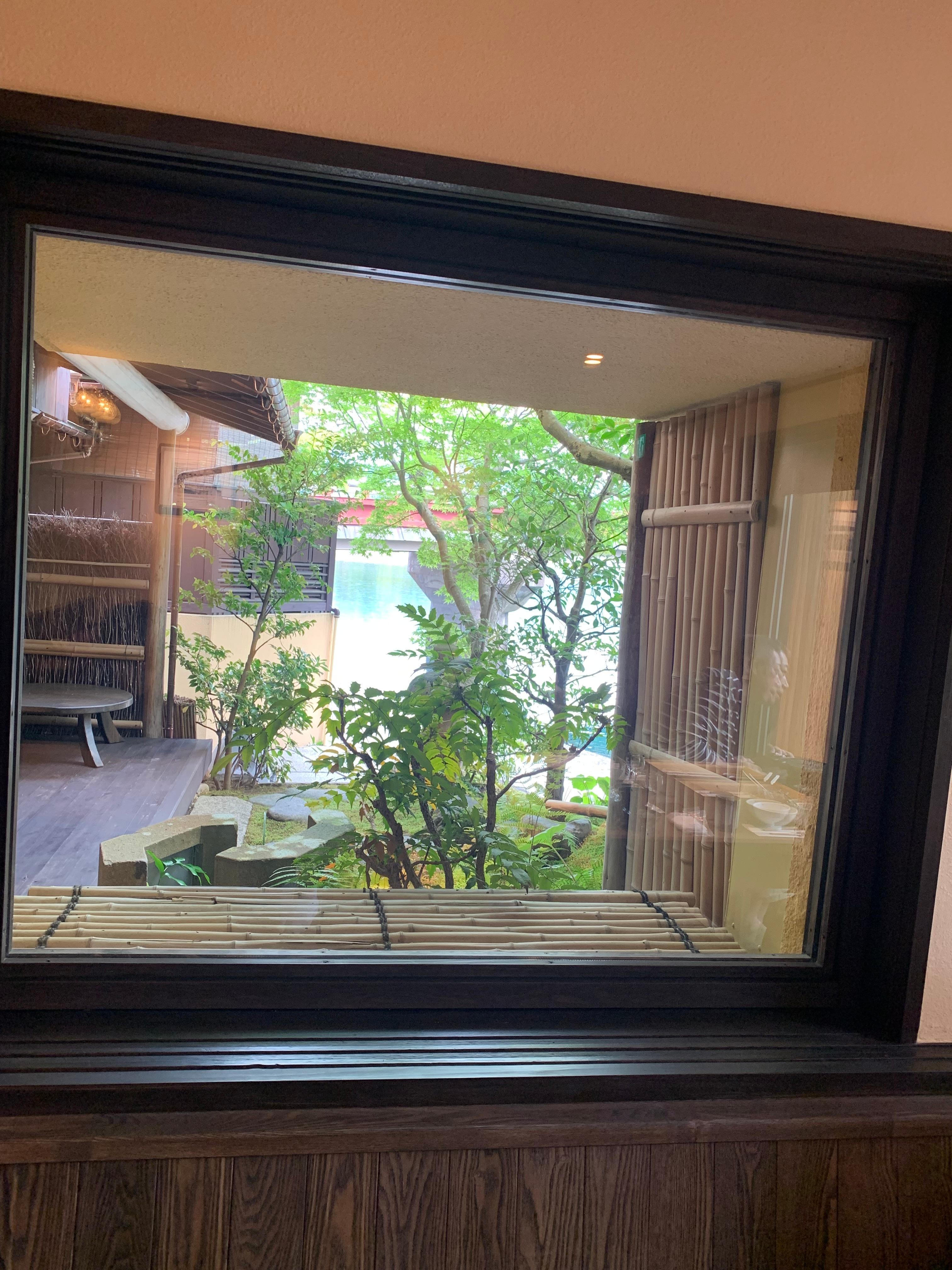 view out the dining room