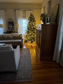 So touched a tree was here when I arrived!