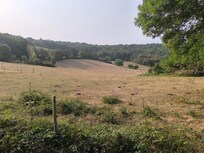 Vue en face de la terrasse