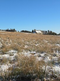 Cottage in the distance from the dog walking field which the hosts own