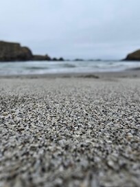 Jughandle Beach