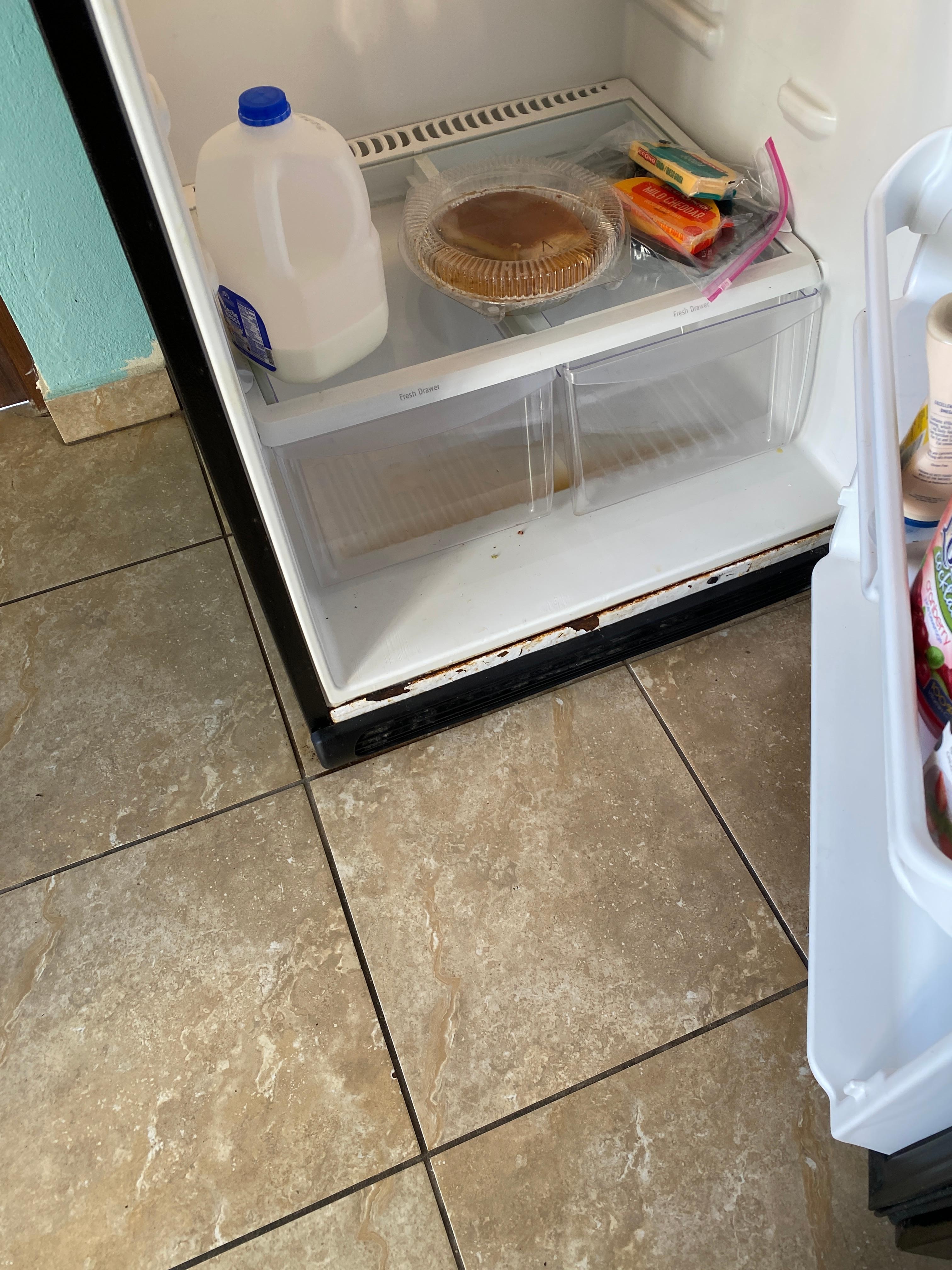 Leaky refrigerator with missing shelves
