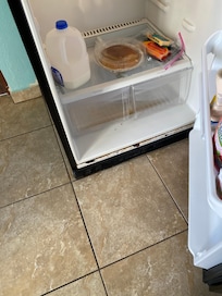 Leaky refrigerator with missing shelves