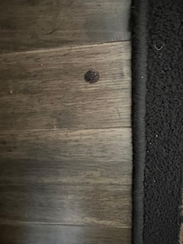 Something sticky on floor