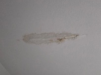 Water spot on the ceiling